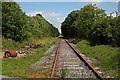 N3447 : Old Railway by kevin higgins
