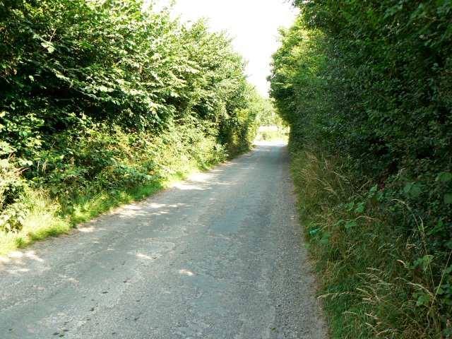 Overgrown side road