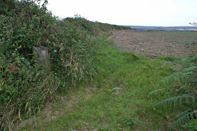 Field Scene near Trevibban