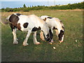 Mother and Daughter Enjoy a Treat