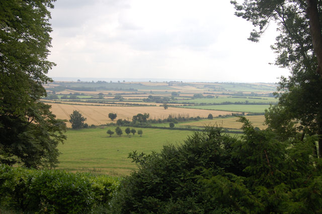 Fields to the South West of Waddesdon Manor