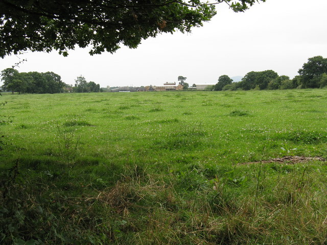 Field near Abingdons Farm