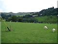 Farmland near Ponterwyd