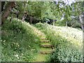 A Footpath to Tomintoul