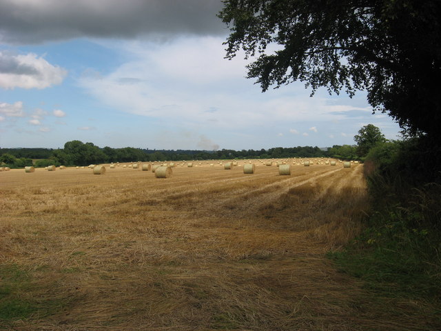 Bales at Danestown, Co. Meath