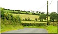 The Carnreagh Road near Castlewellan (2)