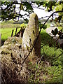 NT5949 : Bruntaburn Mill Standing Stone by Ewen Rennie