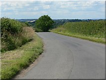SK6222 : Narrow lane near Wymeswold by Mat Fascione