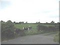 SH5080 : Young calves at Erw-fynydd farm by Eric Jones