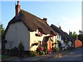 Cottages, Haxton