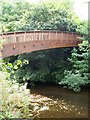 Footbridge over River Otter Devon