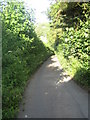 Steep lane near Chilmark