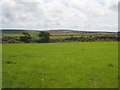 Pasture at Halwyn