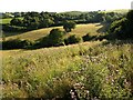 Countryside near South Knighton