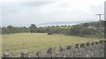 Hay making next to Lon Pant y Cudyn road