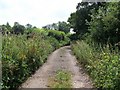 Bridleway Near Ixworth