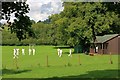 Warming Up, Osmotherley Cricket Field