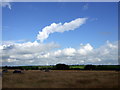 Wind farm horizon