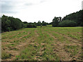 TF9403 : View south towards Carbrooke Fen by Evelyn Simak