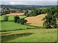 Fields near Chudleigh