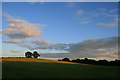 Field at Sunset