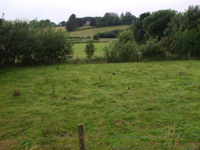 Ardnagassan fields