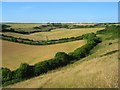 Combe Bottom, Maiden Newton