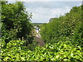 A glimpse of the line of the trackbed of the old railway from the A 5025 bridge