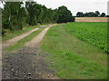 View back down the track