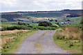 Bridlepath to Danby