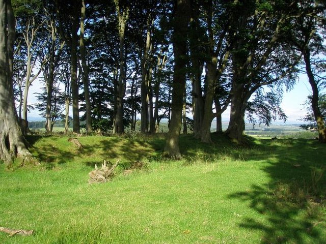 Iron Age Hill Fort - Hinding Lane