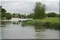 River Thames above Swinford Bridge