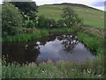 NT8634 : Pond in stream course near Downham cottages by ian shiell