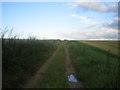 Bridleway near Lower Lawn House