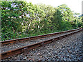 The Kyle of Lochalsh line by Loch Garve