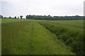 TL6555 : Ditch and path through farmland by Hugh Venables