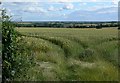 SK6820 : Farmland near Shoby, Leicestershire by Mat Fascione