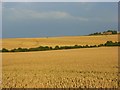 Farmland, Haxton