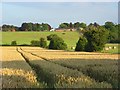 Farmland, Haxton