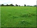 A field near Home Farm, south of Malmesbury