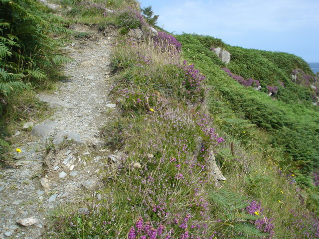 Cliff path with heather near Port a Dorais