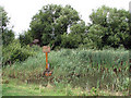 Village pond beside The Green