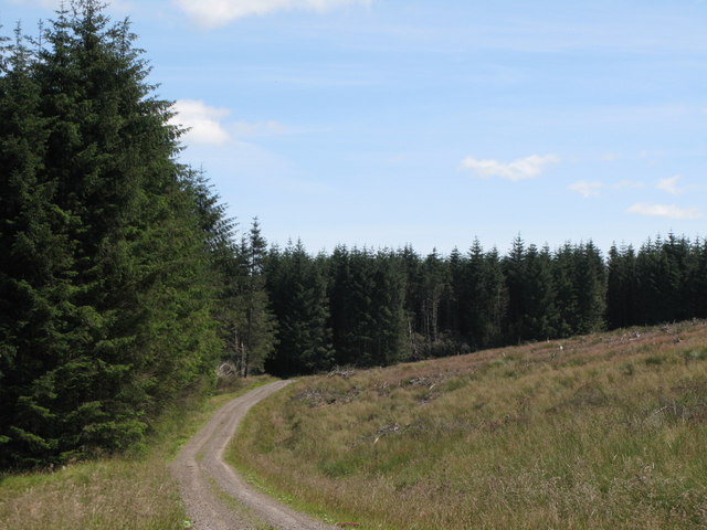 Track below Spur Rigg (2)