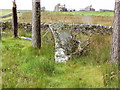 ND2135 : Forse House Standing Stone with farm behind. by Ewen Rennie