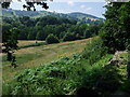 The Ceiriog Valley