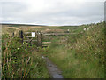 Footpath to Tredinney Common