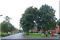 Houses at Charlton Down