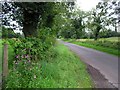 Country Road near Tattenheglish