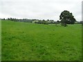 Tattenaheglish Townland