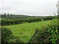 Derryloman Townland